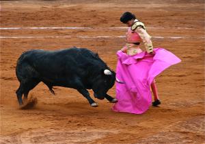 Khi bạn rơi vào bẫy của nạn quỷ hóa, bạn có thể dễ dàng bị thao túng như con bò đực trong trận đấu bò ở Tây Ban Nha. (Ảnh: Francis Heylighen )